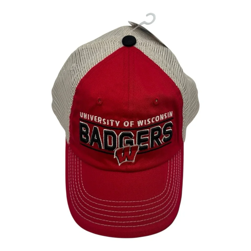 Captivating wisconsin badgers